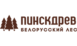 Пинскдрев белорусский лес